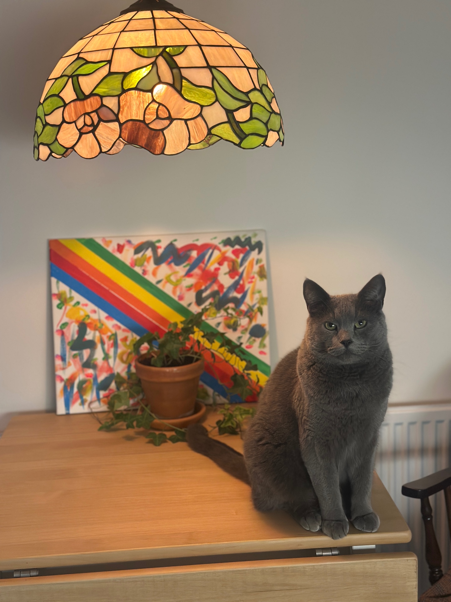 Min katt Isma sitter på köksbordet framför en färgglad målning jag gjort, under en tiffanylampa.